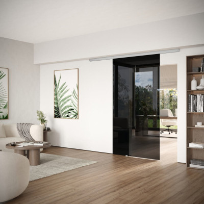 Glasschiebetür aus dark grey im Set mit Schiebetürbeschlag, zur Deckenmontage oder an den Sturz, bis 1.100 mm Flügelbreite, hier in LM silber eloxiert
