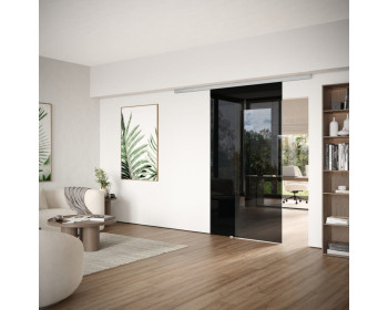 Glasschiebetür aus dark grey im Set mit Schiebetürbeschlag, zur Deckenmontage oder an den Sturz, bis 1.100 mm Flügelbreite, hier in LM silber eloxiert
