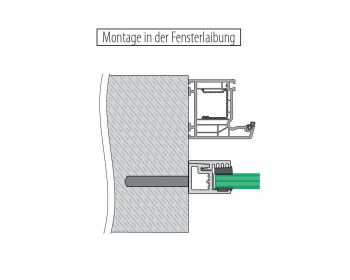 Querschnitt