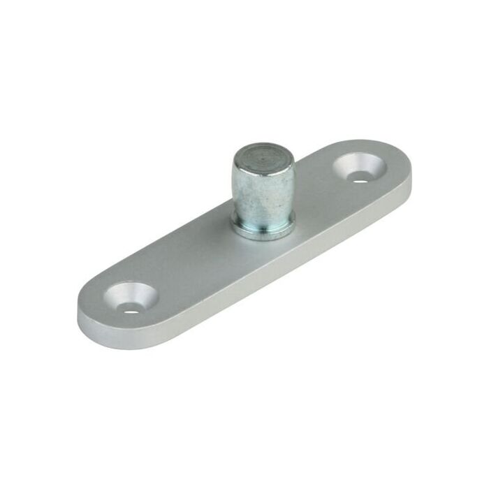 DORMA UNIVERSAL oberes Drehlager PT 24 mit 6 mm Anschraubplatte