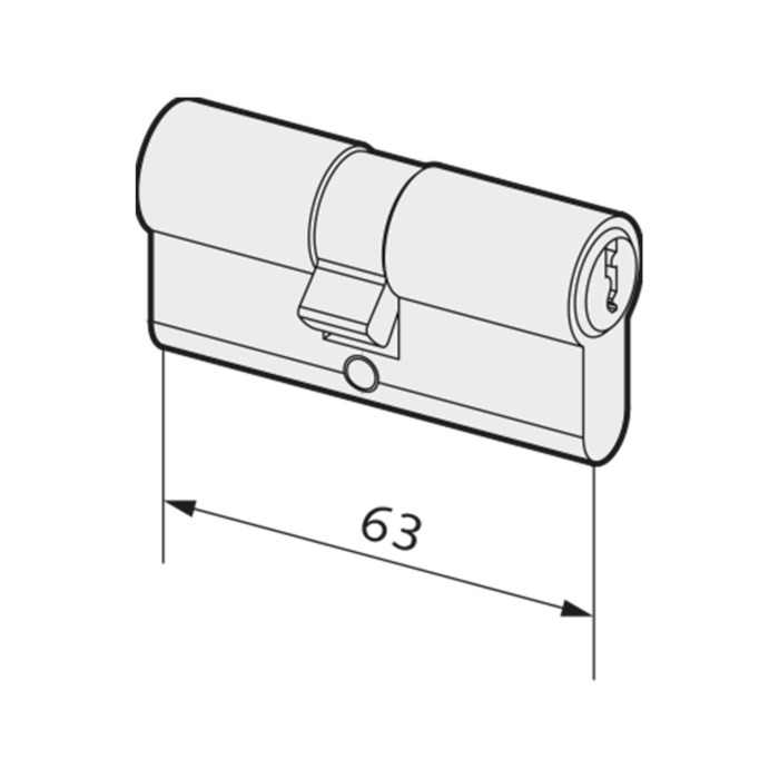 WSS Profilzylinder 63 mm lang