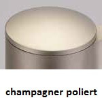 champagner poliert (68)