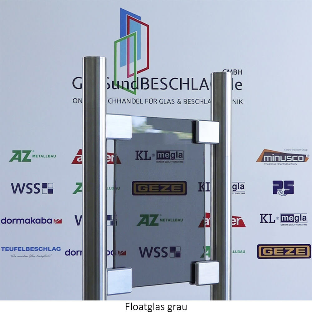 Glasschiebetür bodenrollend mit MWE Terra M