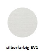silberfarbig EV1 (101)